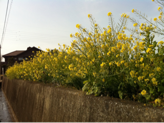 image-20110128185344.png