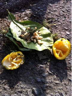 image-20110128190405.png