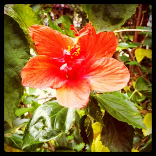 image-20110425101618.png